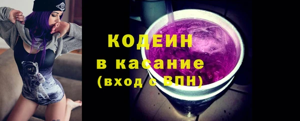 сатива Балахна