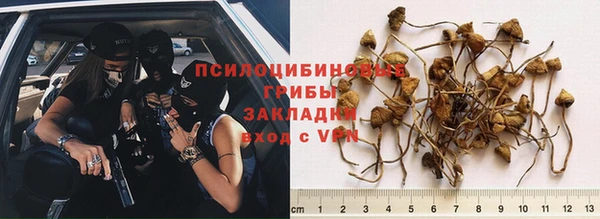 сатива Балахна