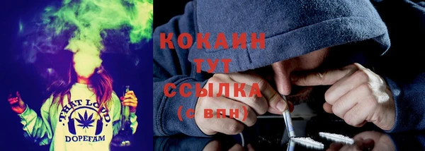 сатива Балахна